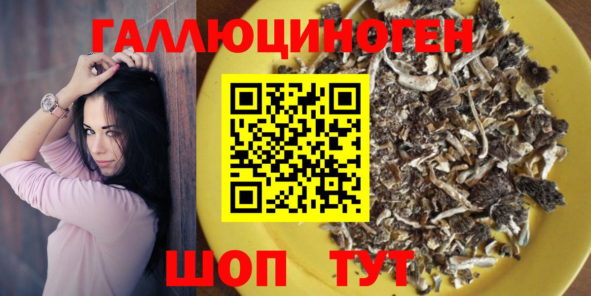 Галлюциногенные грибы Psilocybine cubensis  Вход с VPN  что такое   Екатеринбург 